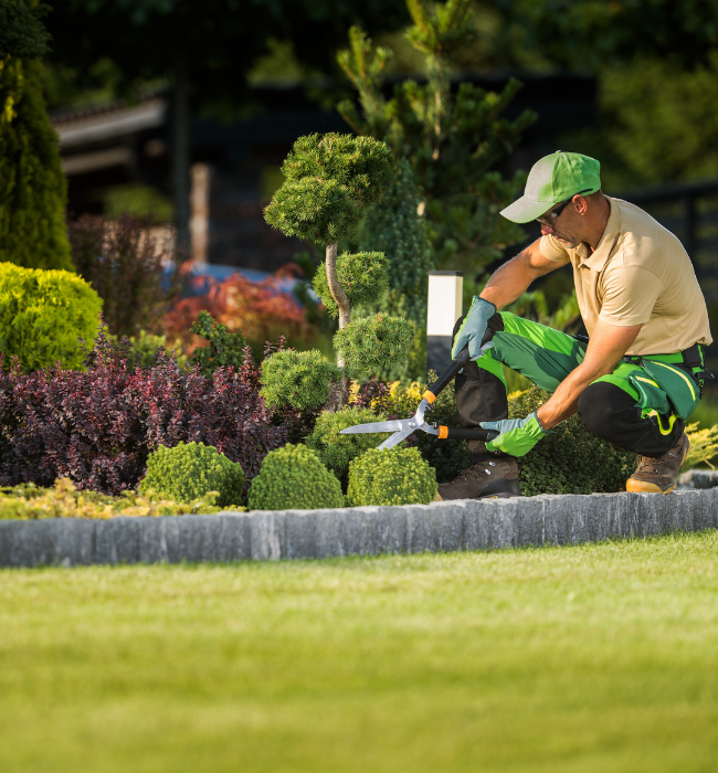 edenpaysage-entretien-de-jardin