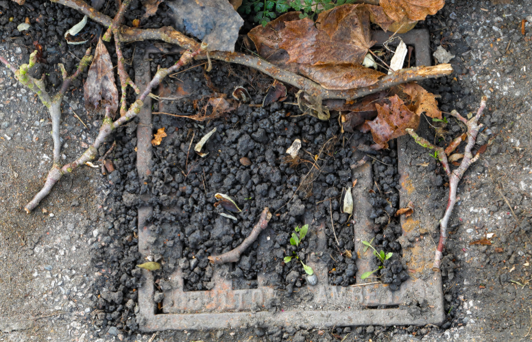 Comment cacher un regard dans un jardin ?