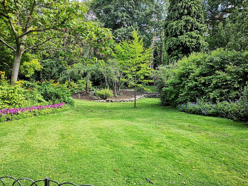 Comment aménager son jardin dans les Yvelines : les étapes à ne pas inverser