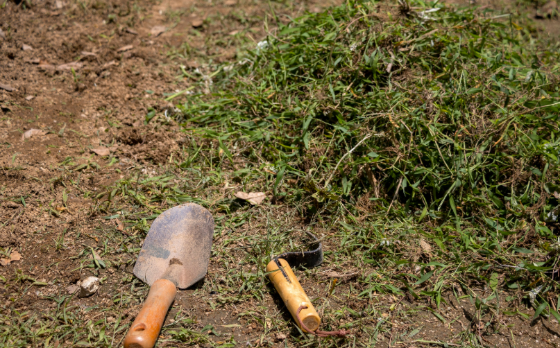 Traitements efficaces pour éliminer les mauvaises herbes dans votre jardin